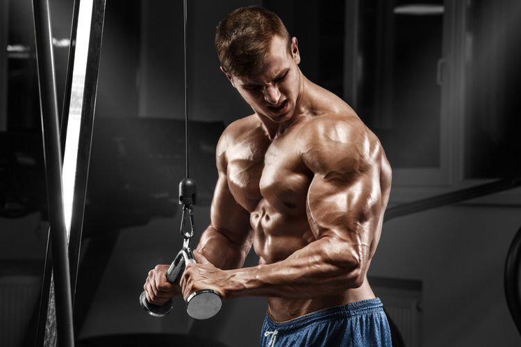 Using Steroid Supplements to Shape and Enlarge Muscles
